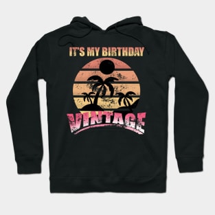 It’s  my birthday Vintage retro Hoodie